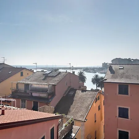 Gabbiano *